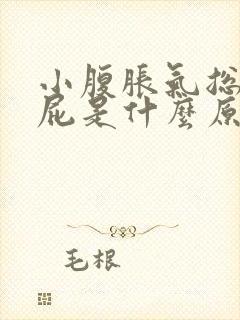 小腹胀气总是放屁是什么原因