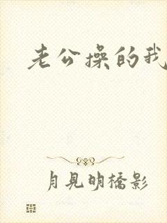 老公操的我好爽封面