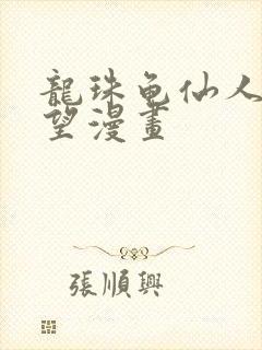 龙珠龟仙人的野望漫画封面