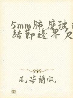 5mm肺磨玻璃结节边界欠清