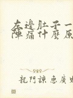 左边肚子一阵一阵痛什么原因