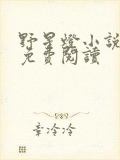 野星灯小说全文免费阅读封面