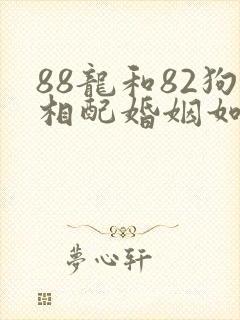 88龙和82狗相配婚姻如何