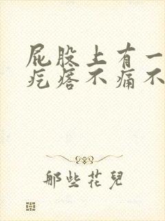 屁股上有一个硬疙瘩不痛不痒封面