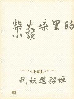 柴火垛里的疯狂小说