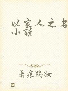 以家人之名原著小说