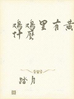 鸡鸡里有黄色是什么封面