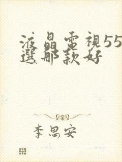 液晶电视55寸选那款好