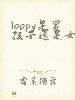 loopy是男孩子还是女孩子封面