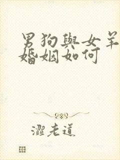 男狗与女羊相配婚姻如何