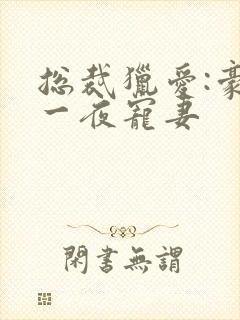 总裁猎爱:豪门一夜宠妻