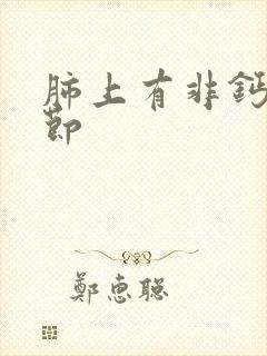 肺上有非钙化结节封面