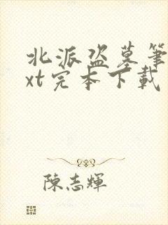 北派盗墓笔记txt完本下载