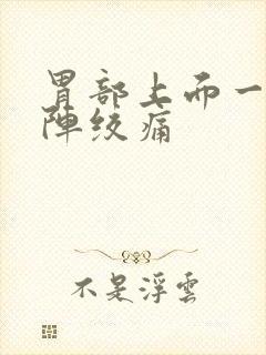 胃部上面一阵一阵绞痛封面