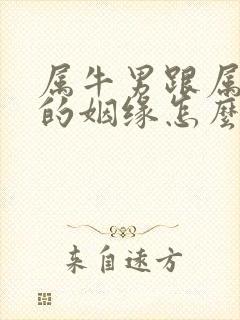 属牛男跟属鸡女的姻缘怎么样