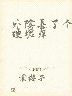 外阴长了个大痘硬块痒