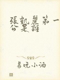 张凯丽第一个老公是谁封面