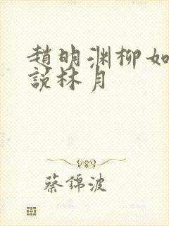 赵明渊柳如烟小说林月封面