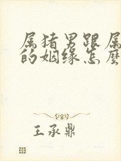 属猪男跟属蛇女的姻缘怎么样