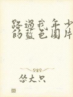 路过我年少时光的蓝色图片封面