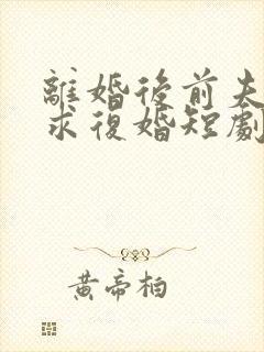 离婚后前夫日日求复婚短剧