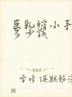 巨乳缩小手术要多少钱