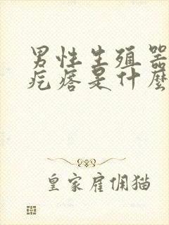 男性生殖器上出疙瘩是什么原因