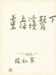 惹上冷殿下婚后生活续写