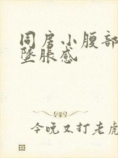 同房小腹部疼痛坠胀感封面