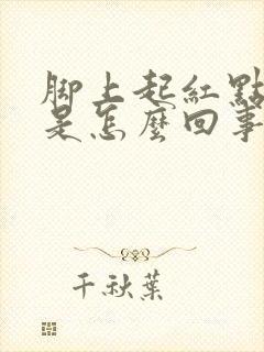 脚上起红点很痒是怎么回事