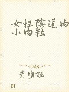 女性阴道内口长小肉粒