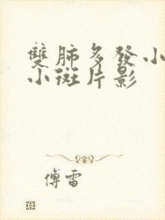 双肺多发小结节小斑片影