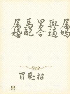 属马男与属龙女婚配合适吗封面