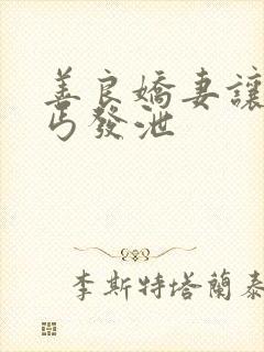 善良娇妻让老乞丐发泄封面