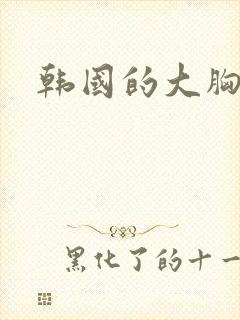 韩国的大胸女人封面