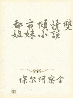 都市倾情双胞胎姐妹小说封面