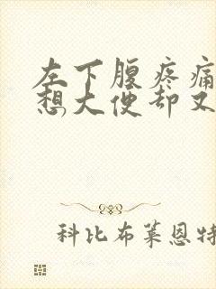 左下腹疼痛一直想大便却又排不出