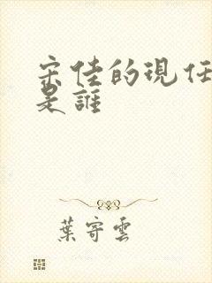 宋佳的现任丈夫是谁