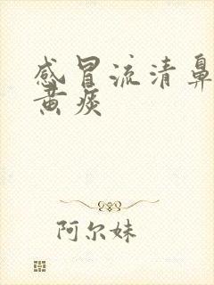 感冒流清鼻涕咳黄痰