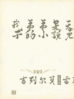 我弟弟是天选之子的小说免费阅读全文封面