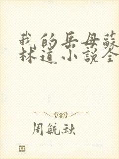 我的岳母苏沛真林道小说全文
