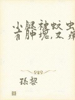 小腿被蚊虫叮咬有肿块,又痒又痛封面