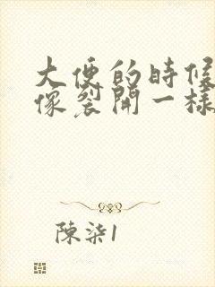 大便的时候肛门像裂开一样疼