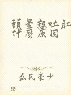 头晕想吐肚子痛什么原因