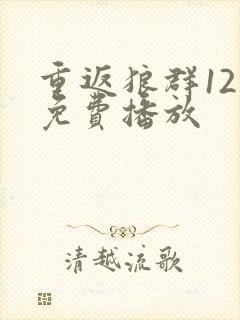 重返狼群12集免费播放