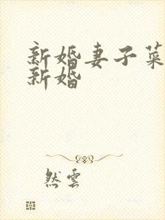 新婚妻子菜老板新婚封面