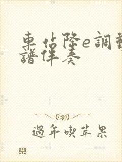 车站降e调动态谱伴奏