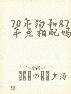 70年狗和87年兔相配吗