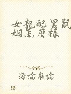 女龙配男鼠的婚姻怎么样