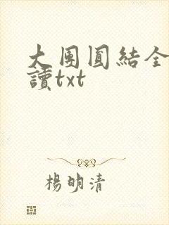 大团圆结全文阅读txt